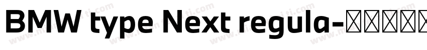 BMW type Next regula字体转换